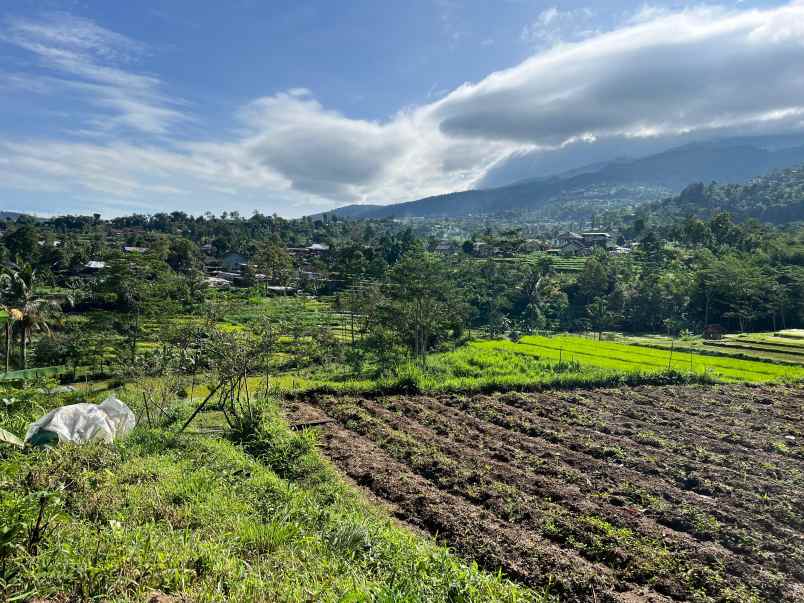 dijual tanah karangpandan karanganyar