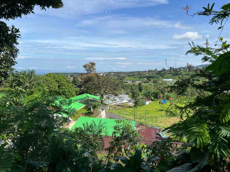 dijual tanah karangpandan karanganyar