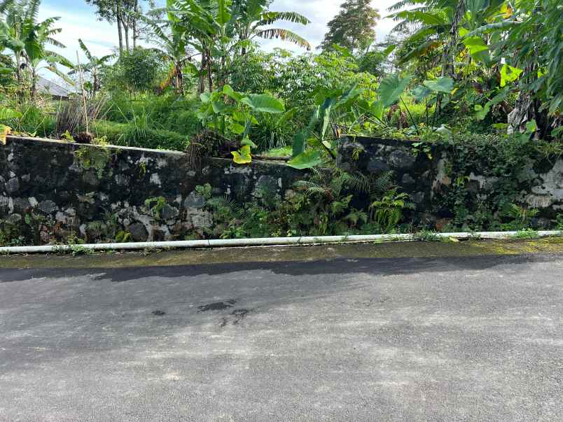 dijual tanah karangpandan karanganyar solo