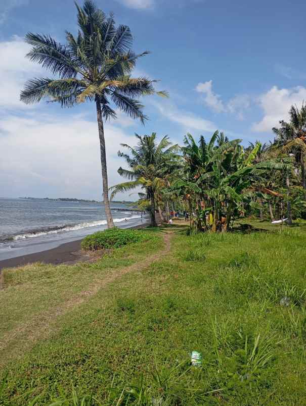 dijual tanah kelurahan klatak kecamatan