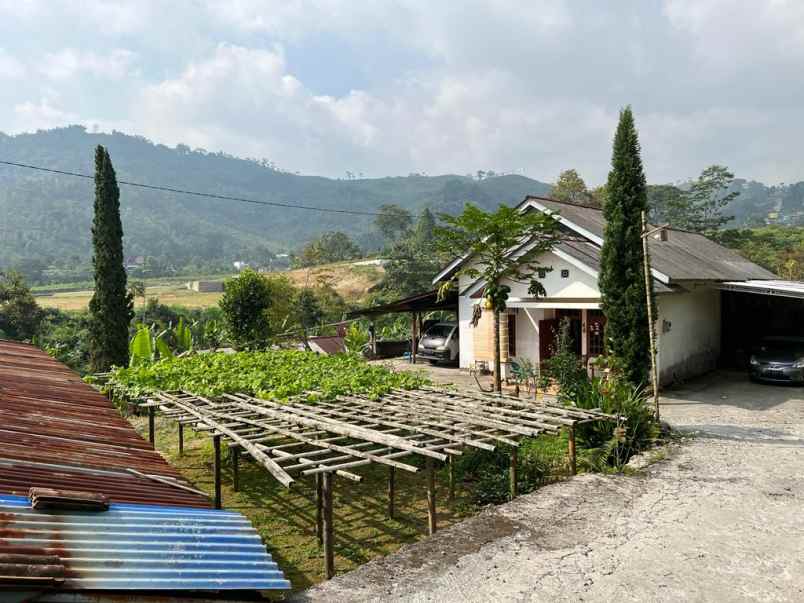 dijual tanah kemuning ngargoyoso