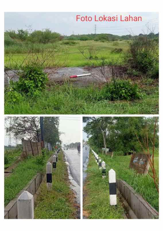 dijual tanah klaten jateng