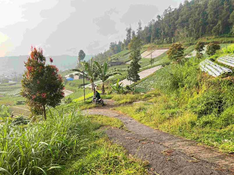 dijual tanah komplek hutan pinus kemuning karanganyar