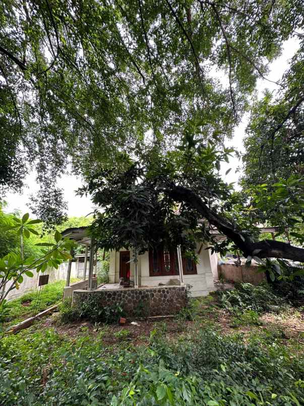 dijual tanah menteng