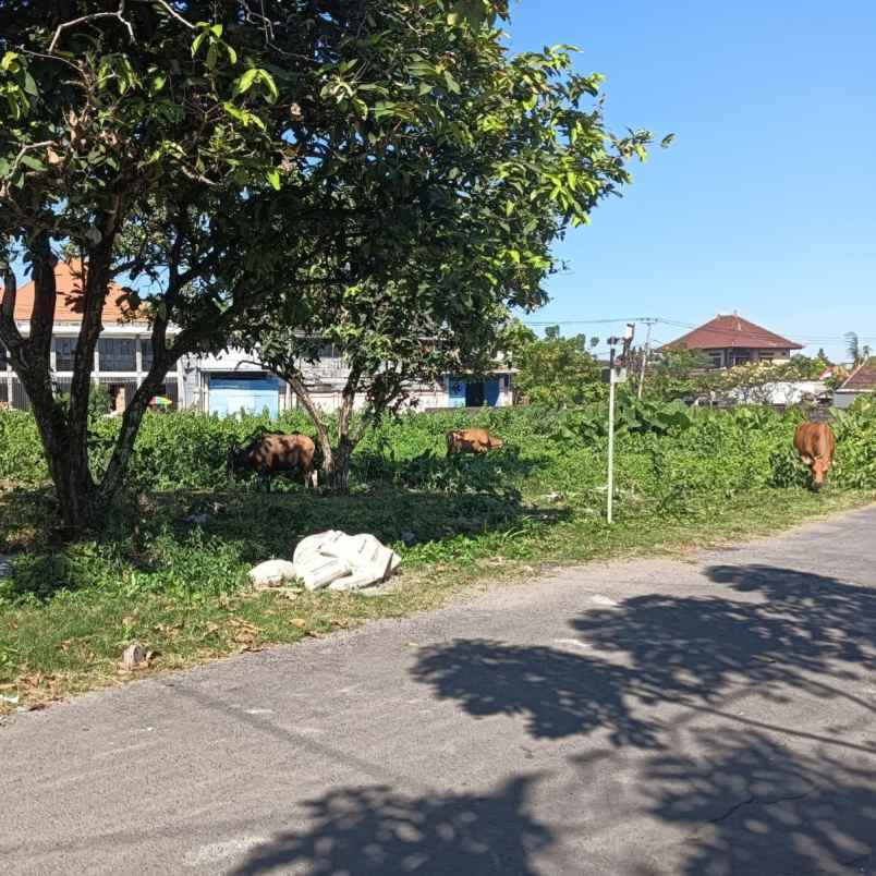 dijual tanah padangsambian kaja