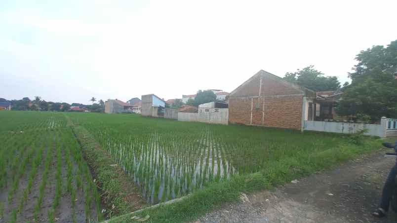 dijual tanah padasuka