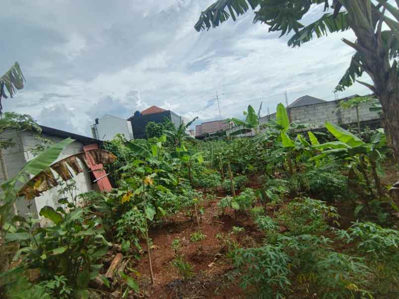 dijual tanah pamulang