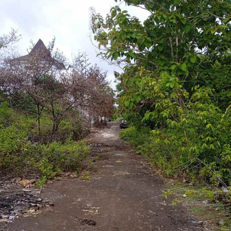 dijual tanah pantai balangan