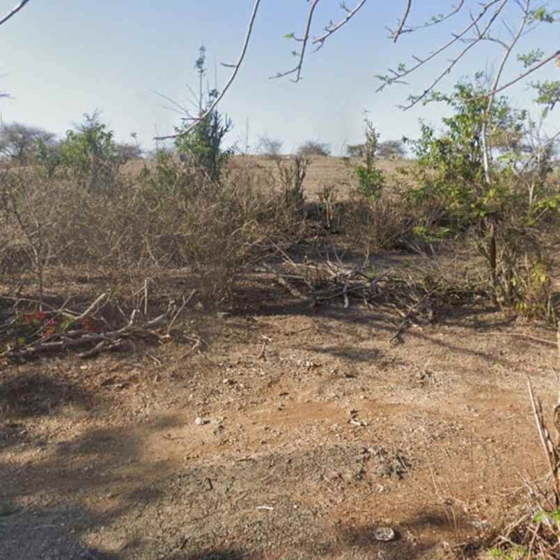 dijual tanah pantai pandawa