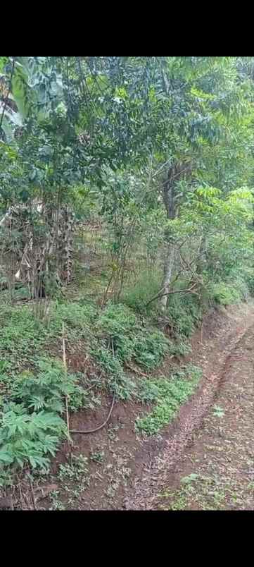 dijual tanah pasir impun