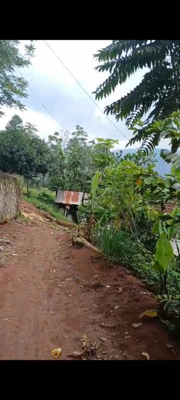 dijual tanah pasir impun