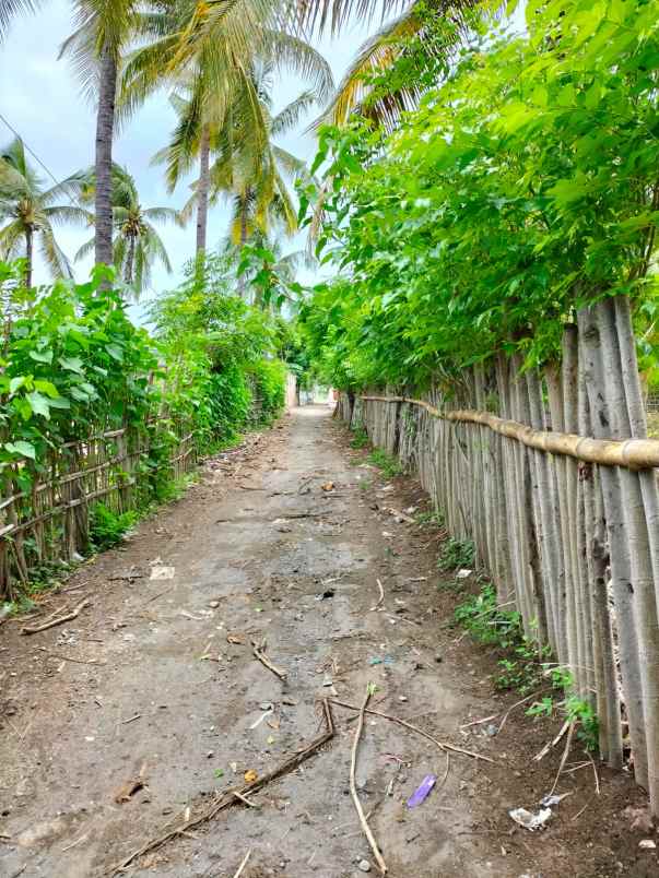 dijual tanah pertanian di lombok utara dekat rinjani