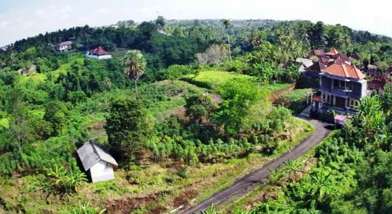 dijual tanah pinda saba gianyar