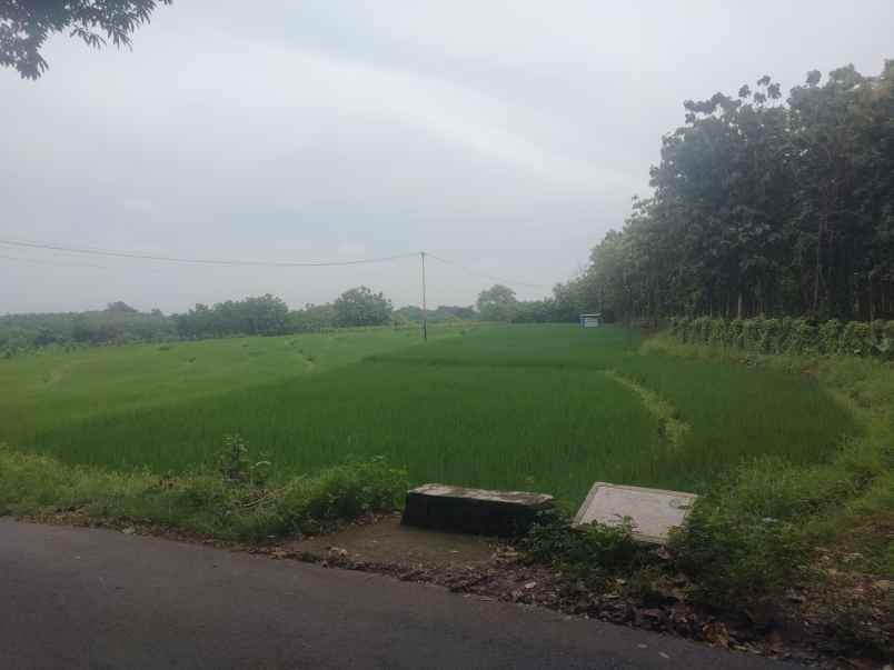 dijual tanah pinggir jl raya sarwadadi talun