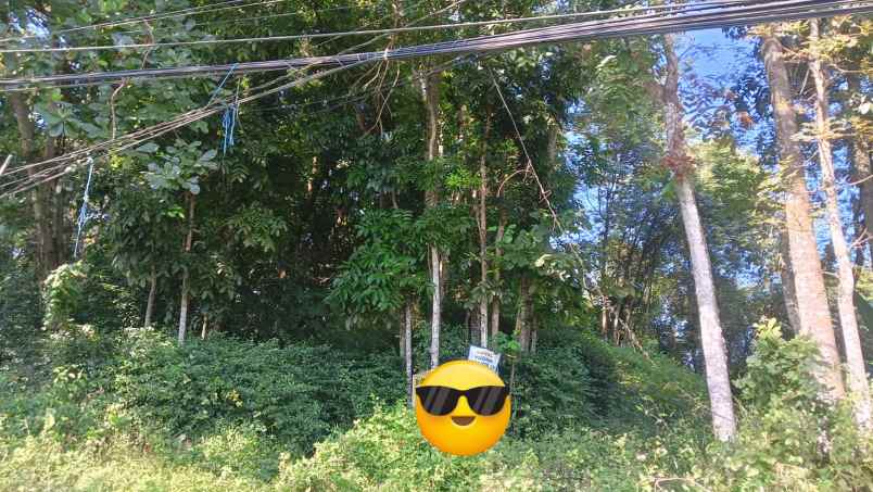 dijual tanah plalangan