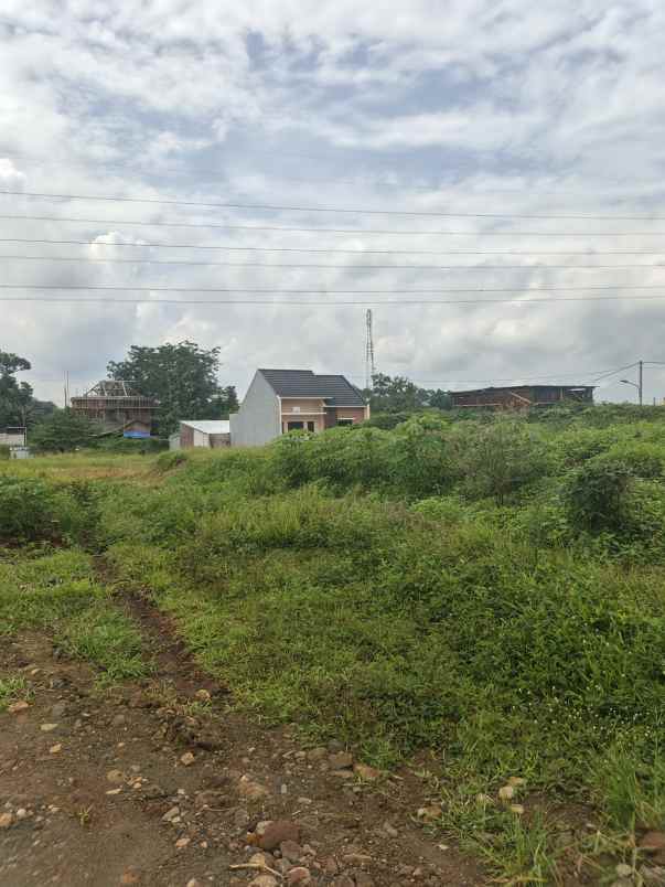 dijual tanah podorejo