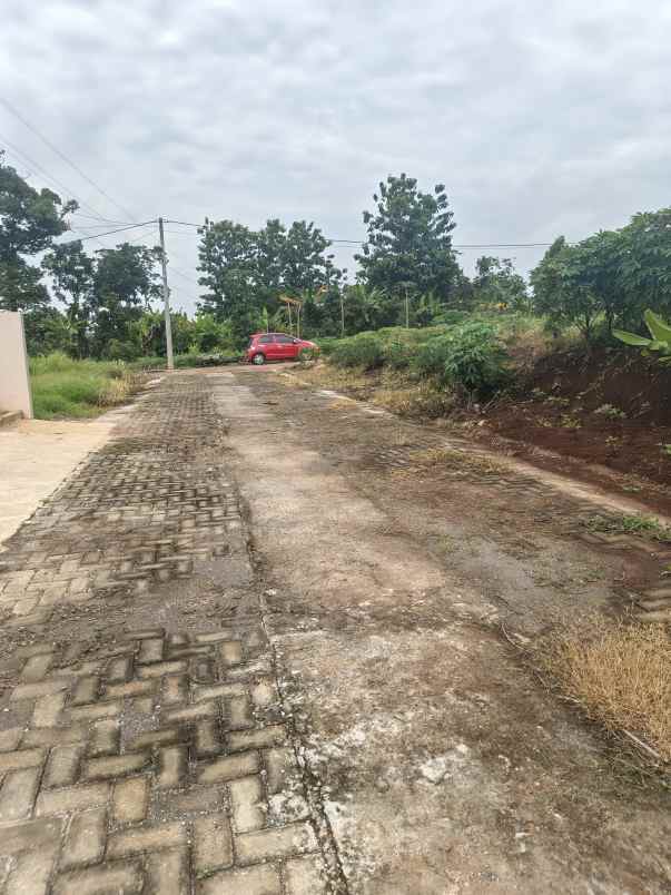 dijual tanah podorejo