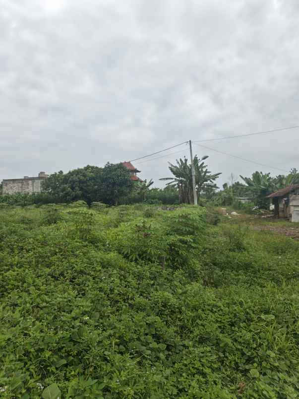 dijual tanah podorejo