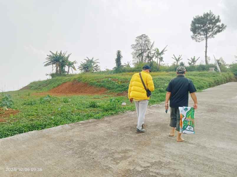 dijual tanah puncak 2