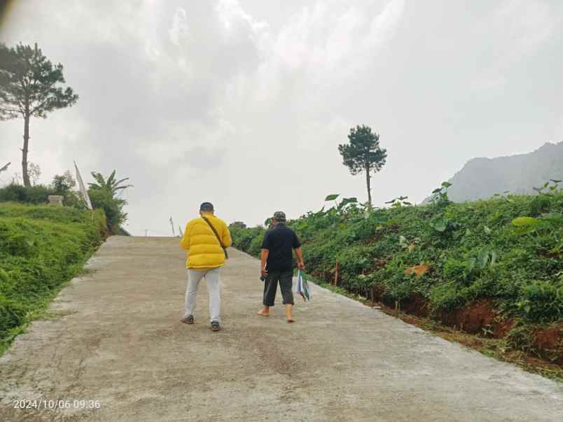 dijual tanah puncak 2