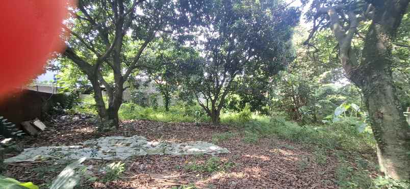 dijual tanah puri sriwedari cibubur