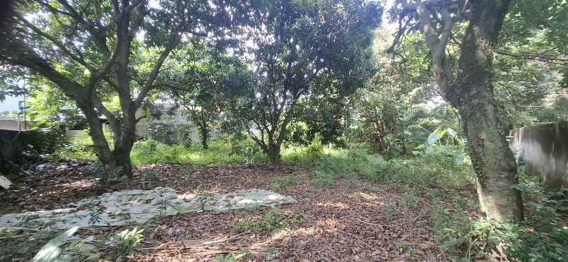 dijual tanah puri sriwedari cibubur