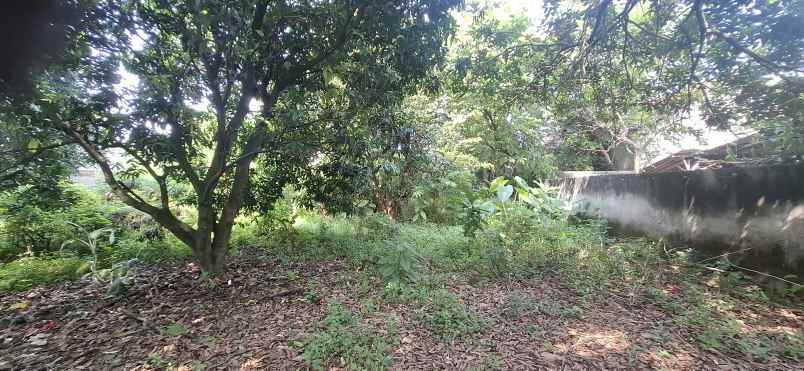 dijual tanah puri sriwedari cibubur