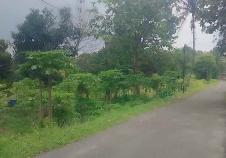 dijual tanah satu hamparan pinggir jl desa