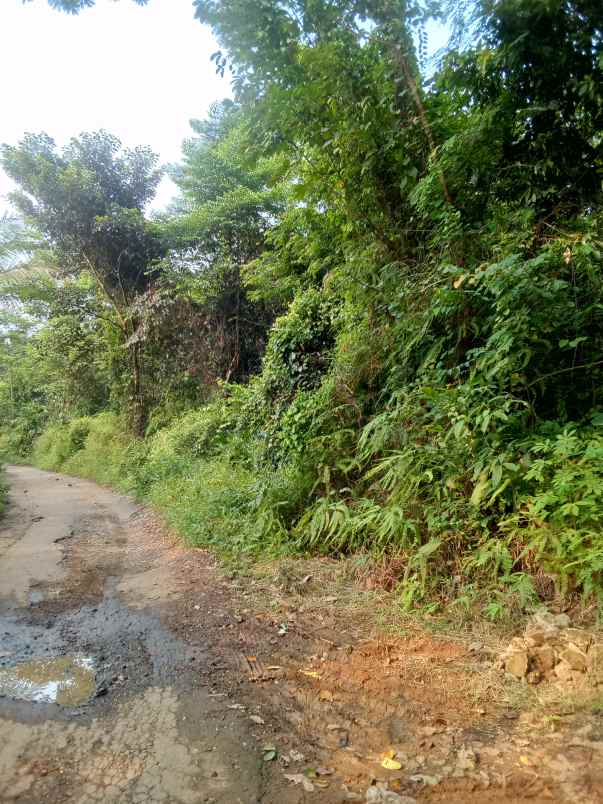 dijual tanah shm pinggir jalan