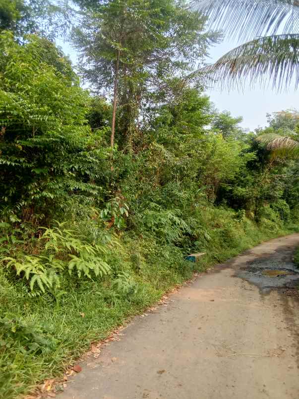 dijual tanah shm pinggir jalan