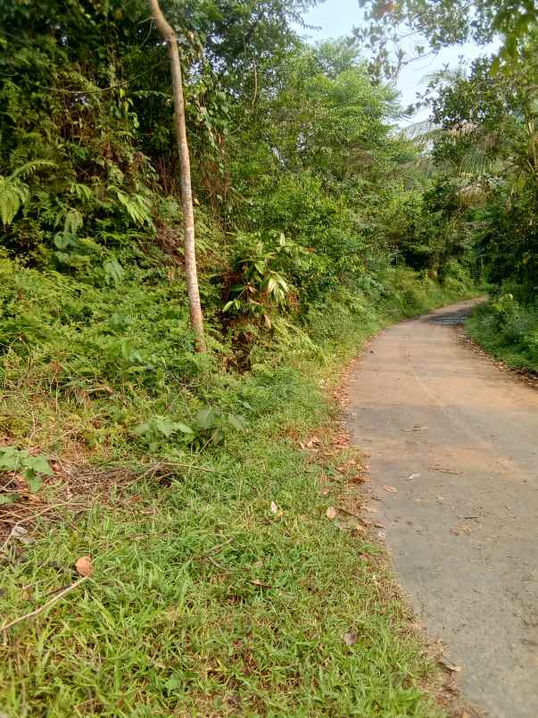 dijual tanah shm pinggir jalan