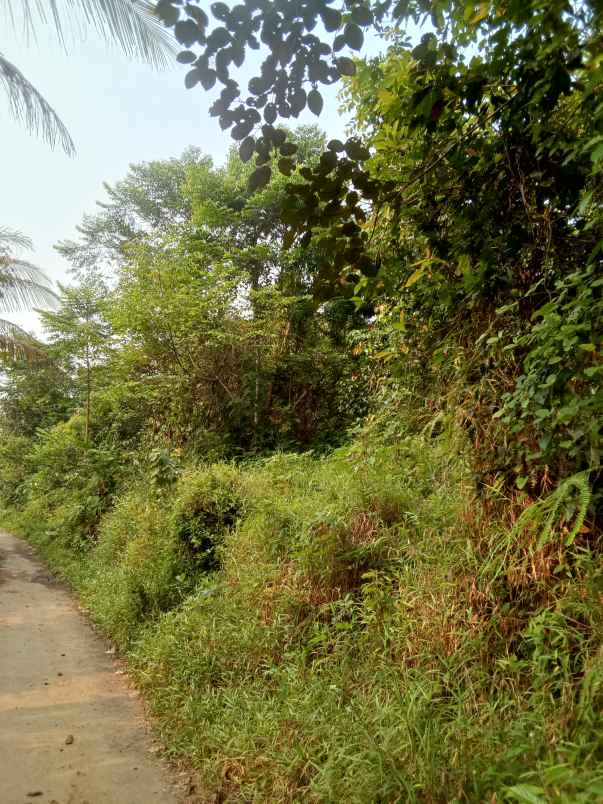 dijual tanah shm pinggir jalan