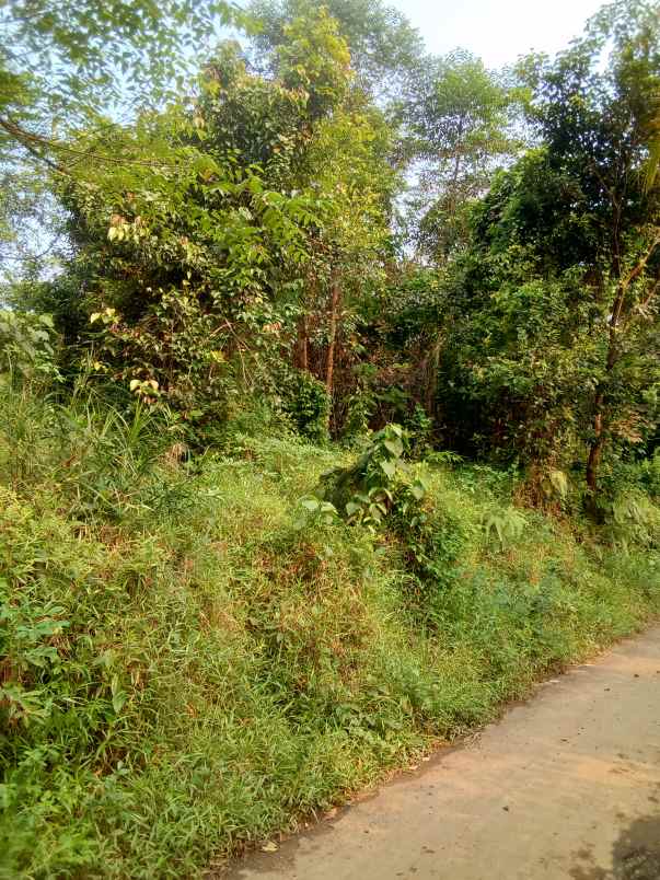 dijual tanah shm pinggir jalan