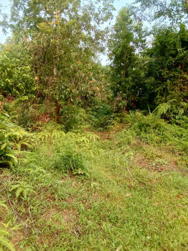 dijual tanah shm pinggir jalan