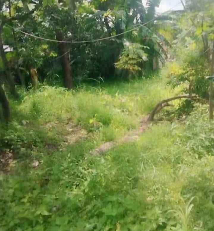 dijual tanah strategis pinggir jalan raya