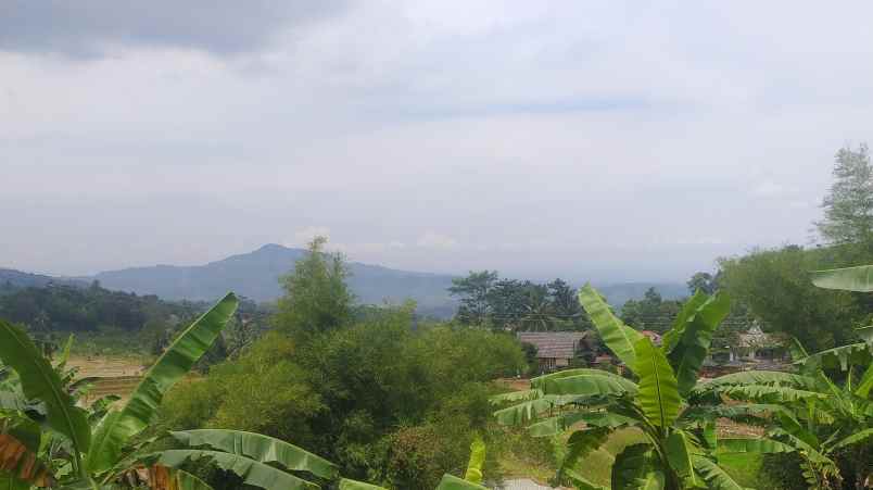 dijual tanah sukamakmur bogor