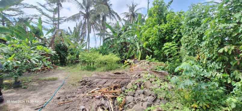 dijual tanah tanah lot