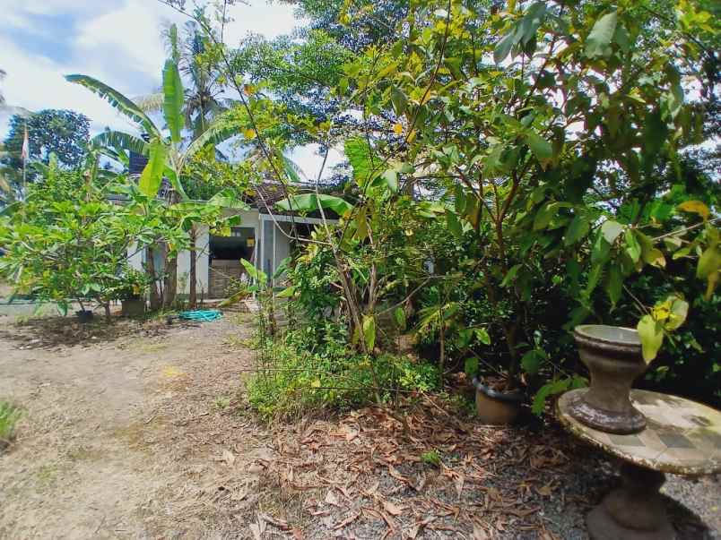 dijual tanah tanah lot