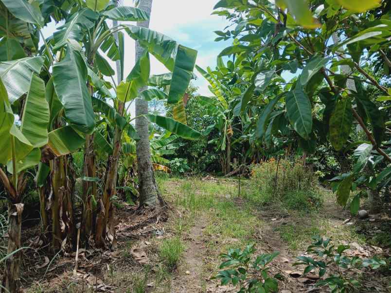 dijual tanah tanah lot