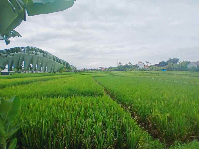 dijual tanah tanah lot