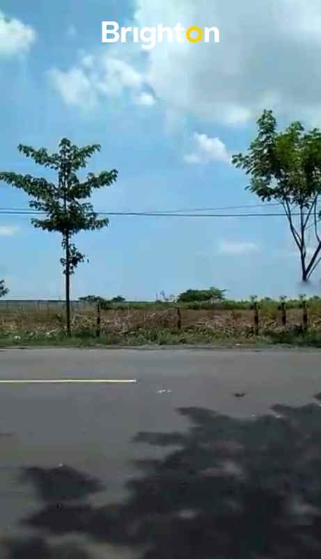 dijual tanah widang tuban