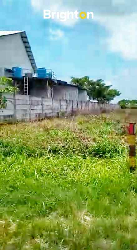 dijual tanah widang tuban