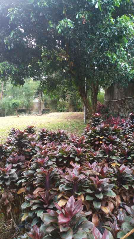 dijual villa cisarua bogor jawa barat