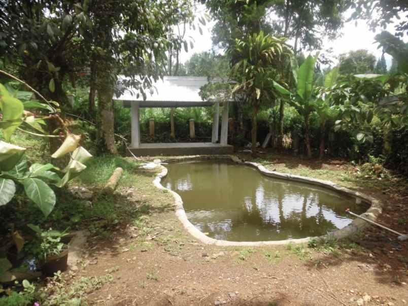 dijual villa jalan pakancilan kuta