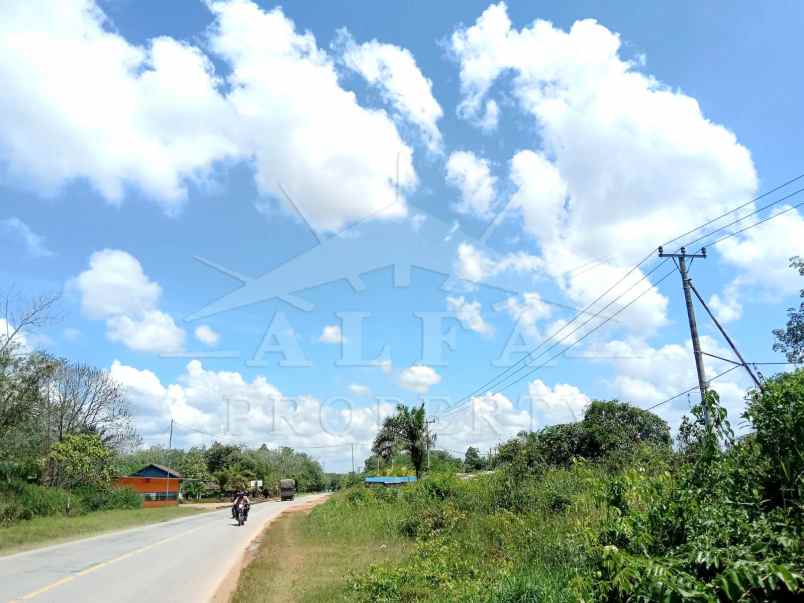 disewakan tanah jalan trans kalimantan