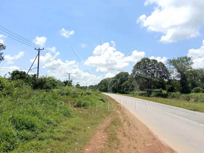 disewakan tanah jalan trans kalimantan