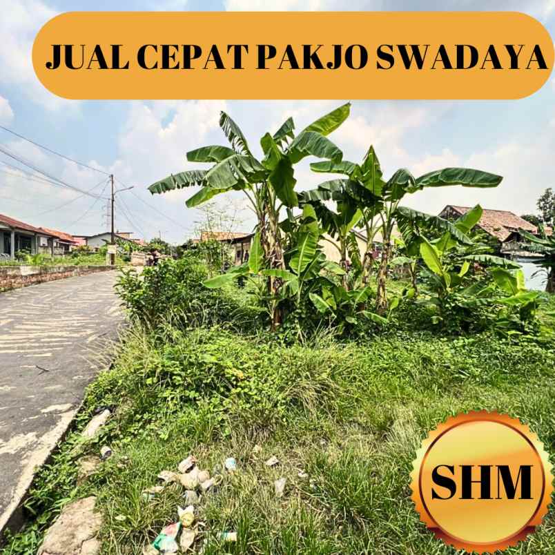 jual cepat lahan pakjo swadaya