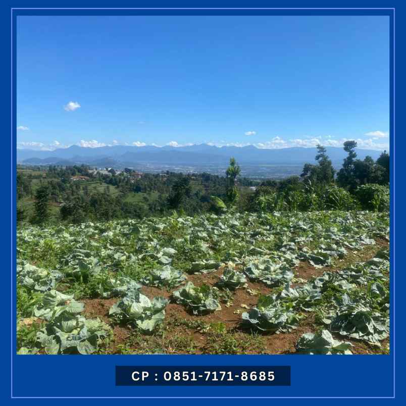 jual kavling villa kebun bandung