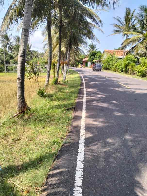 jual lahan sawah pinggir jalan raya