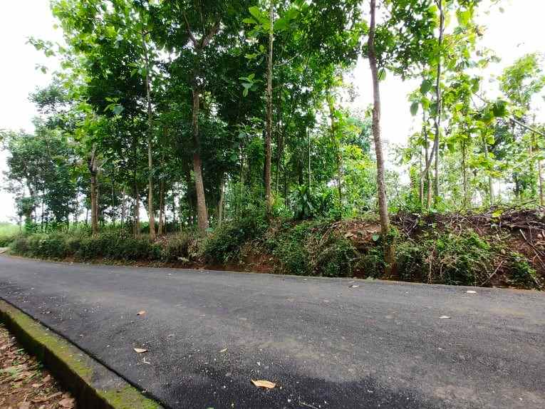 jual tanah datar barat pasar karangpandan karanganyar